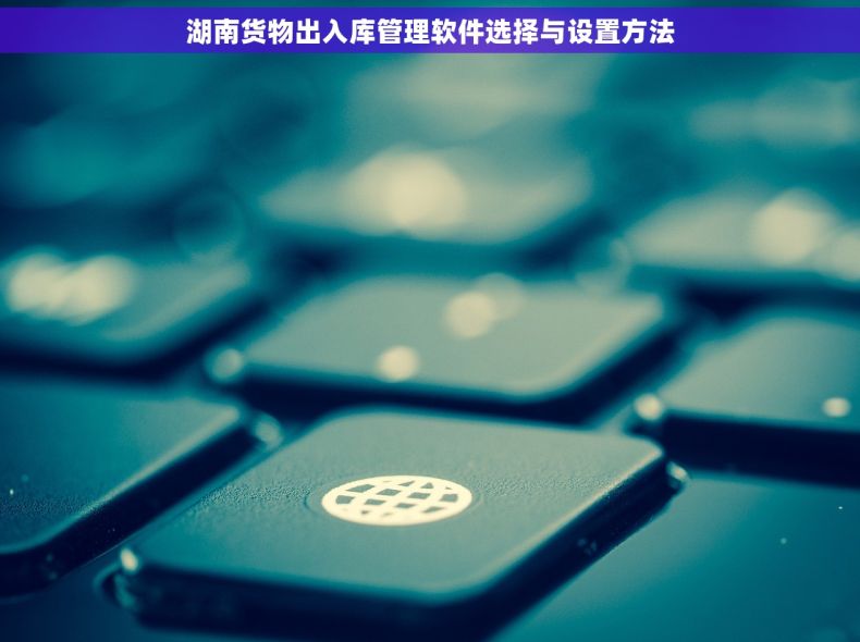 湖南货物出入库管理软件选择与设置方法