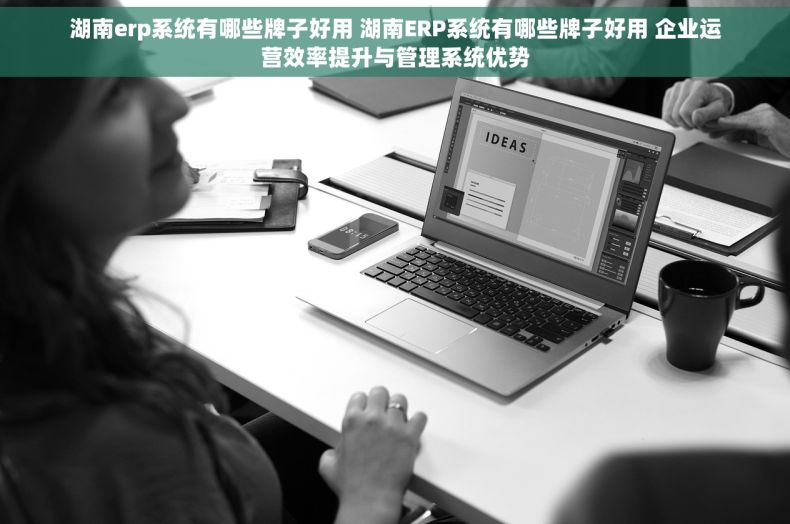 湖南erp系统有哪些牌子好用 湖南ERP系统有哪些牌子好用 企业运营效率提升与管理系统优势