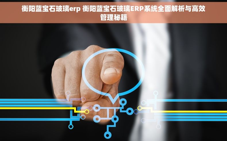衡阳蓝宝石玻璃erp 衡阳蓝宝石玻璃ERP系统全面解析与高效管理秘籍