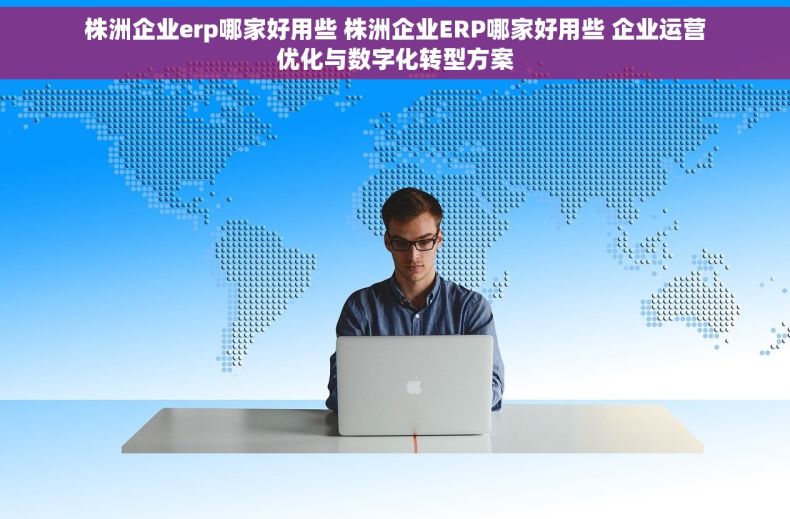 株洲企业erp哪家好用些 株洲企业ERP哪家好用些 企业运营优化与数字化转型方案