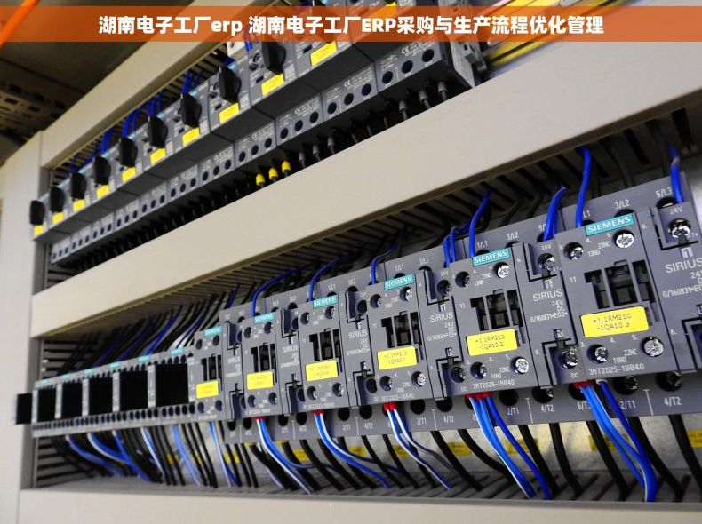 湖南电子工厂erp 湖南电子工厂ERP采购与生产流程优化管理