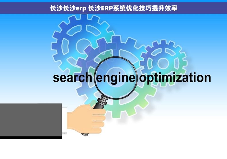 长沙长沙erp 长沙ERP系统优化技巧提升效率