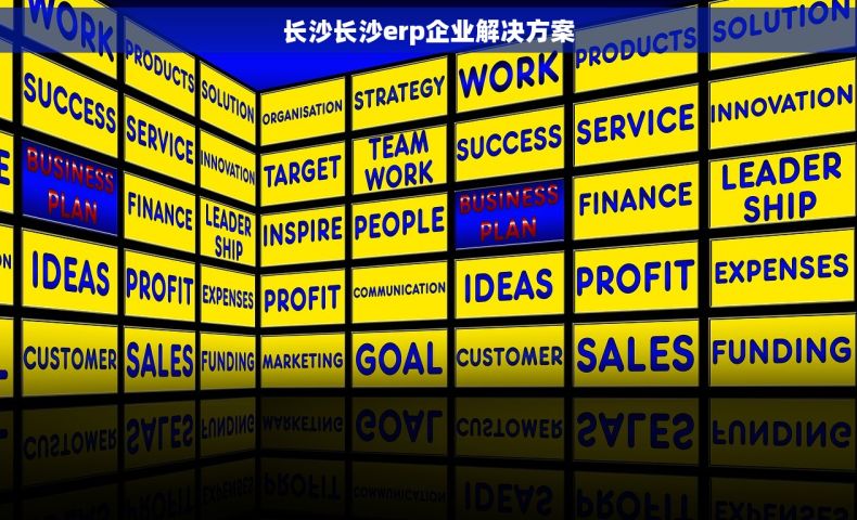 长沙长沙erp企业解决方案