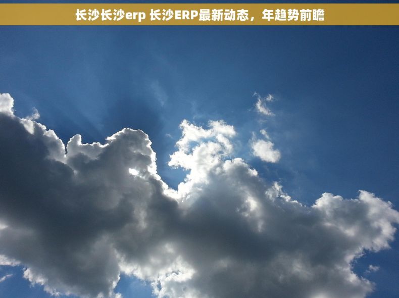 长沙长沙erp 长沙ERP最新动态，年趋势前瞻