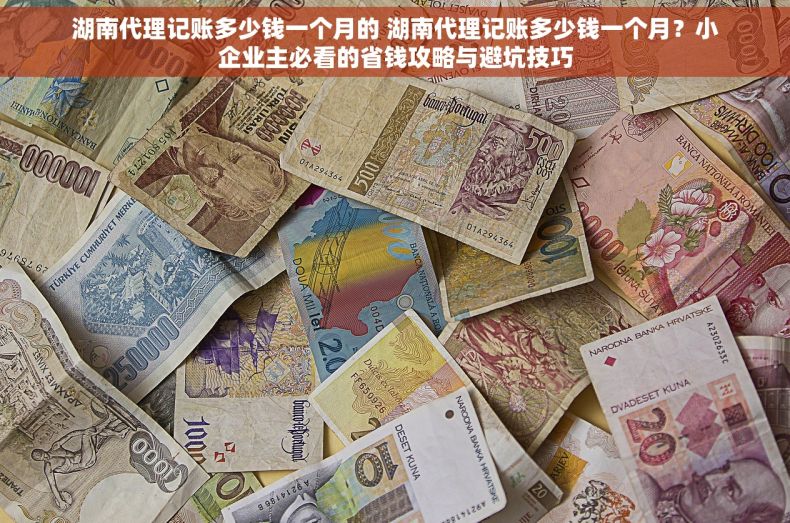 湖南代理记账多少钱一个月的 湖南代理记账多少钱一个月？小企业主必看的省钱攻略与避坑技巧