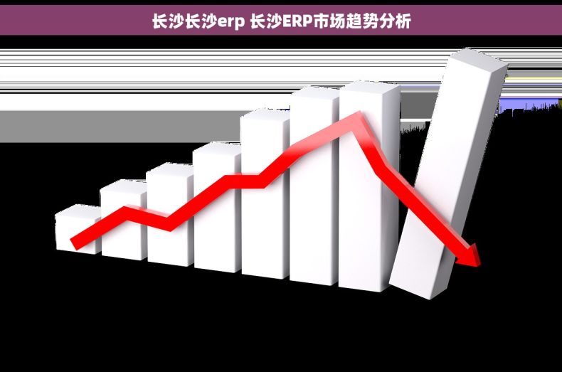 长沙长沙erp 长沙ERP市场趋势分析