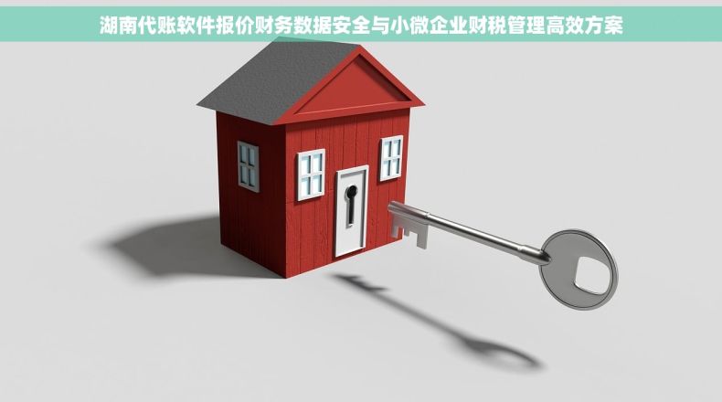 湖南代账软件报价财务数据安全与小微企业财税管理高效方案