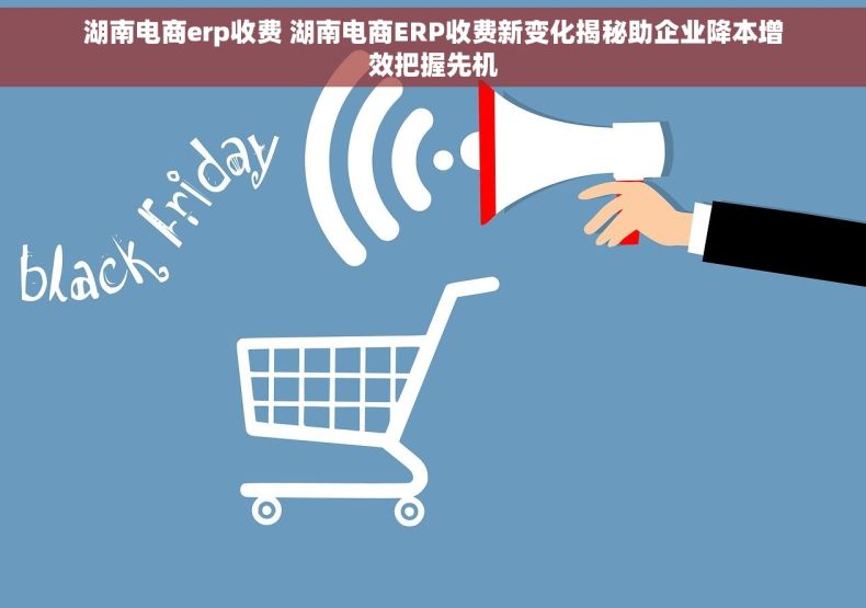 湖南电商erp收费 湖南电商ERP收费新变化揭秘助企业降本增效把握先机