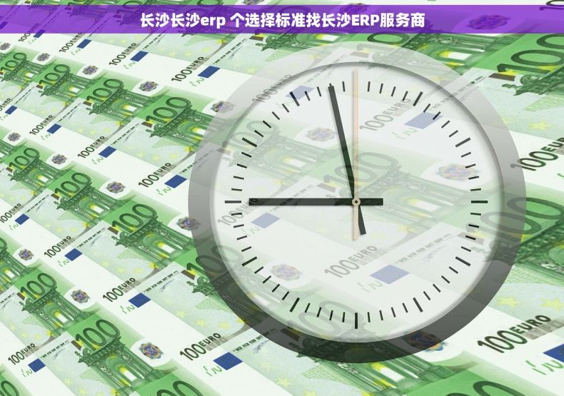 长沙长沙erp 个选择标准找长沙ERP服务商