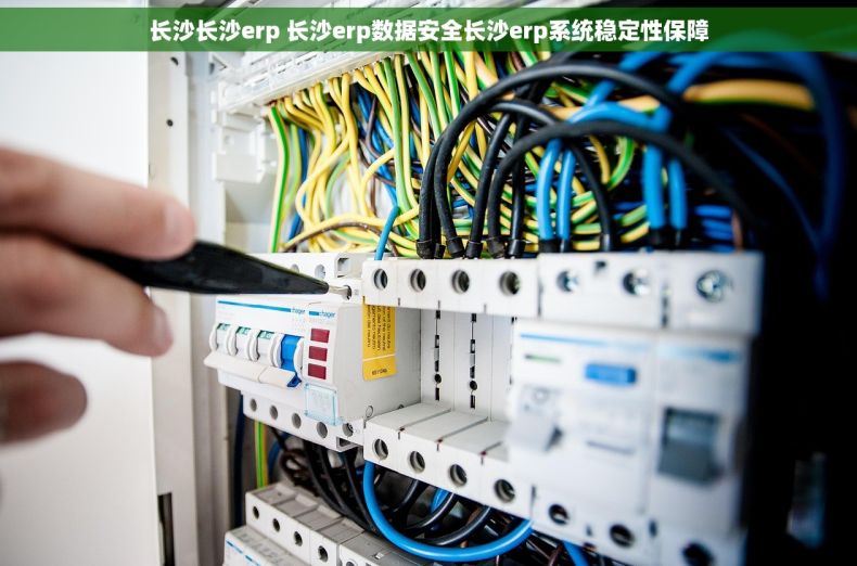 长沙长沙erp 长沙erp数据安全长沙erp系统稳定性保障