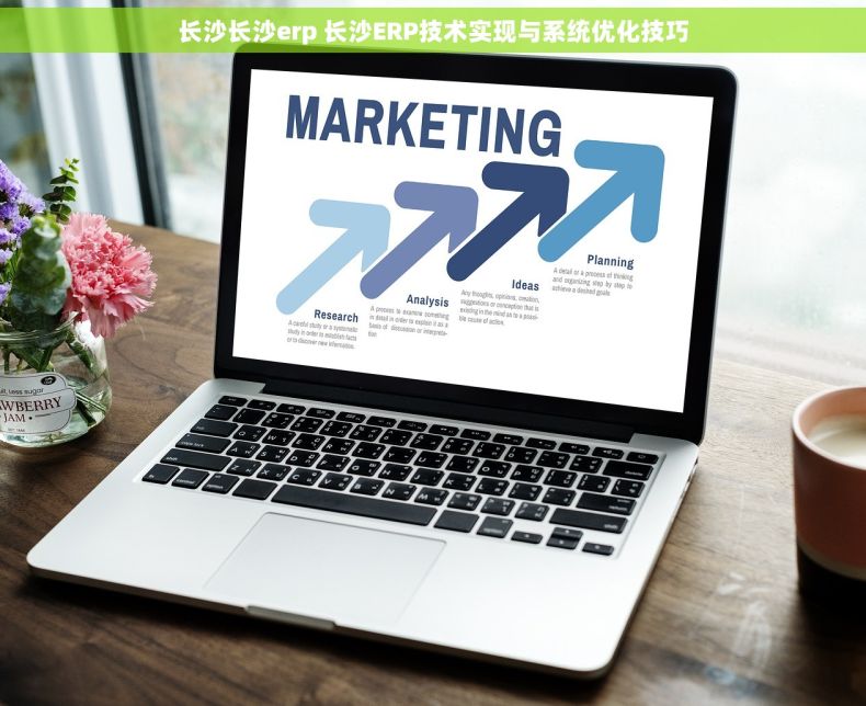 长沙长沙erp 长沙ERP技术实现与系统优化技巧