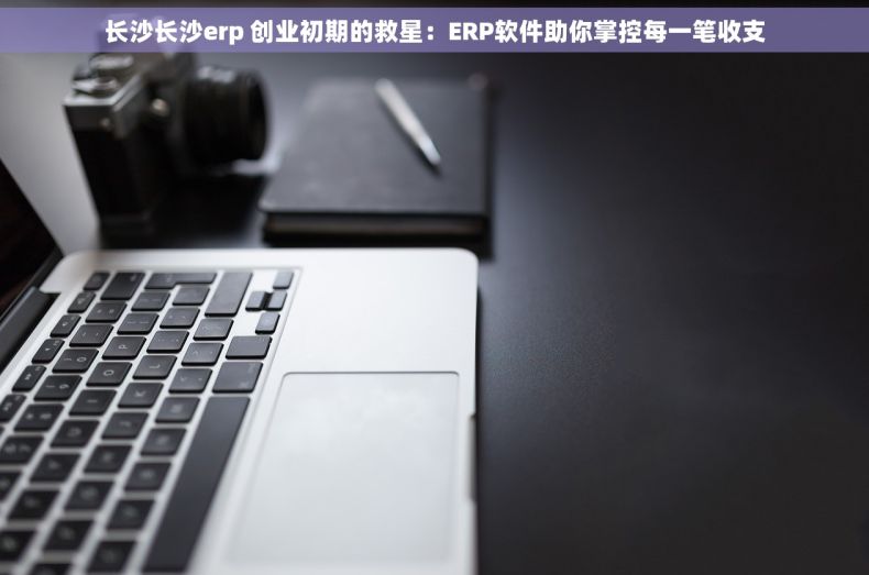 长沙长沙erp 创业初期的救星：ERP软件助你掌控每一笔收支