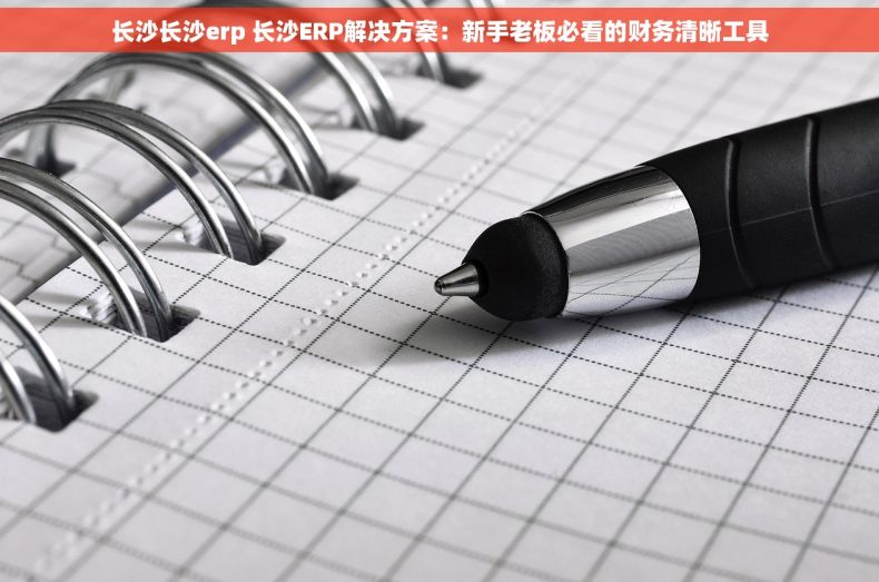 长沙长沙erp 长沙ERP解决方案：新手老板必看的财务清晰工具