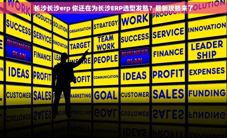 长沙长沙erp 你还在为长沙ERP选型发愁？最新攻略来了