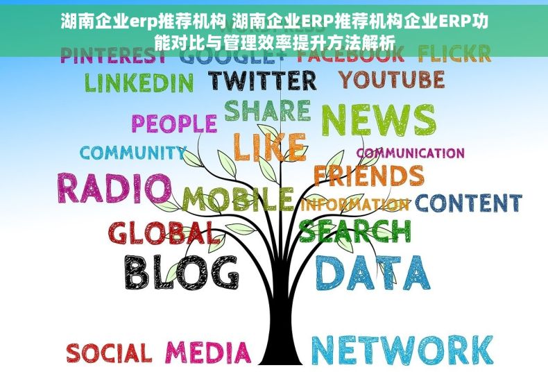 湖南企业erp推荐机构 湖南企业ERP推荐机构企业ERP功能对比与管理效率提升方法解析