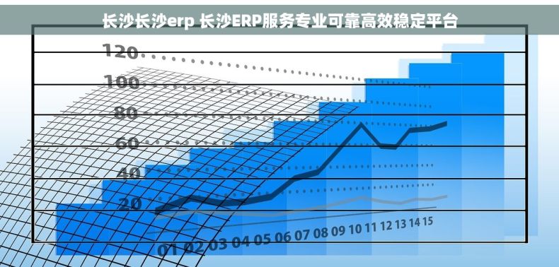 长沙长沙erp 长沙ERP服务专业可靠高效稳定平台