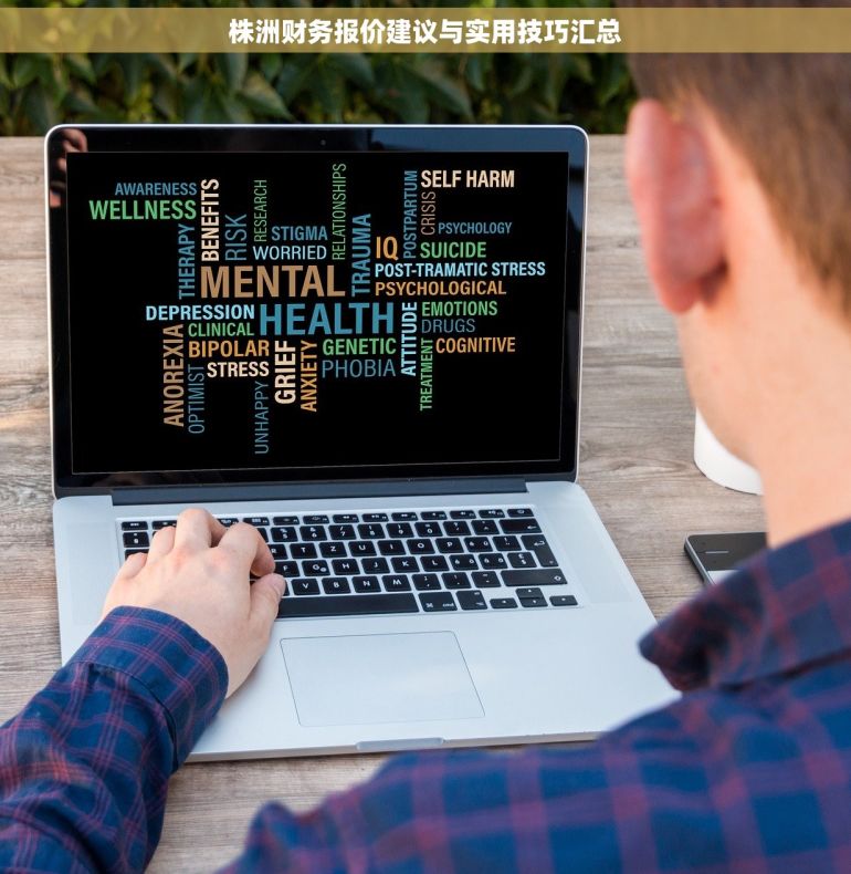 株洲财务报价建议与实用技巧汇总