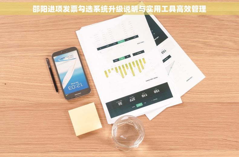 邵阳进项发票勾选系统升级说明与实用工具高效管理
