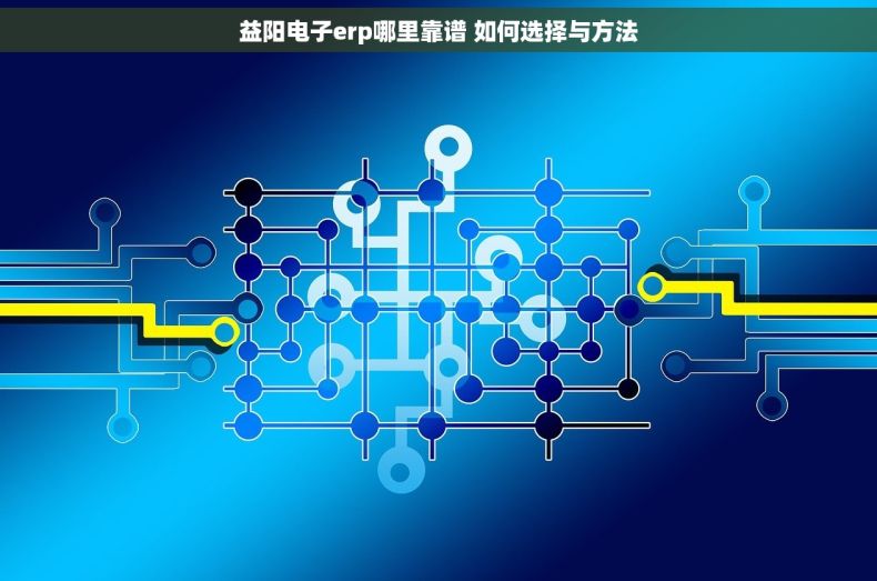益阳电子erp哪里靠谱 如何选择与方法