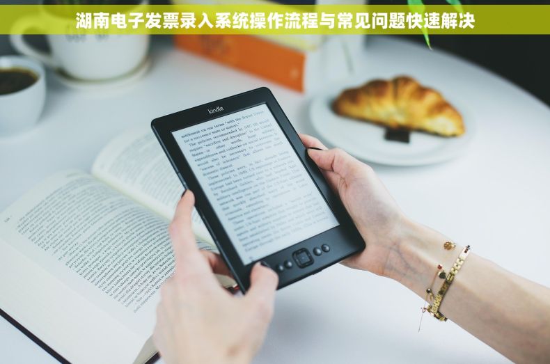 湖南电子发票录入系统操作流程与常见问题快速解决