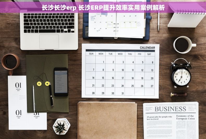长沙长沙erp 长沙ERP提升效率实用案例解析