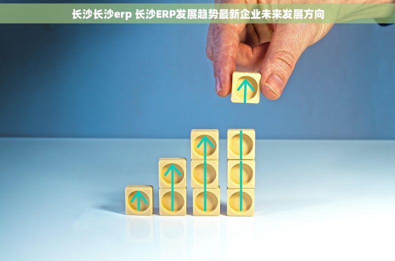 长沙长沙erp 长沙ERP发展趋势最新企业未来发展方向