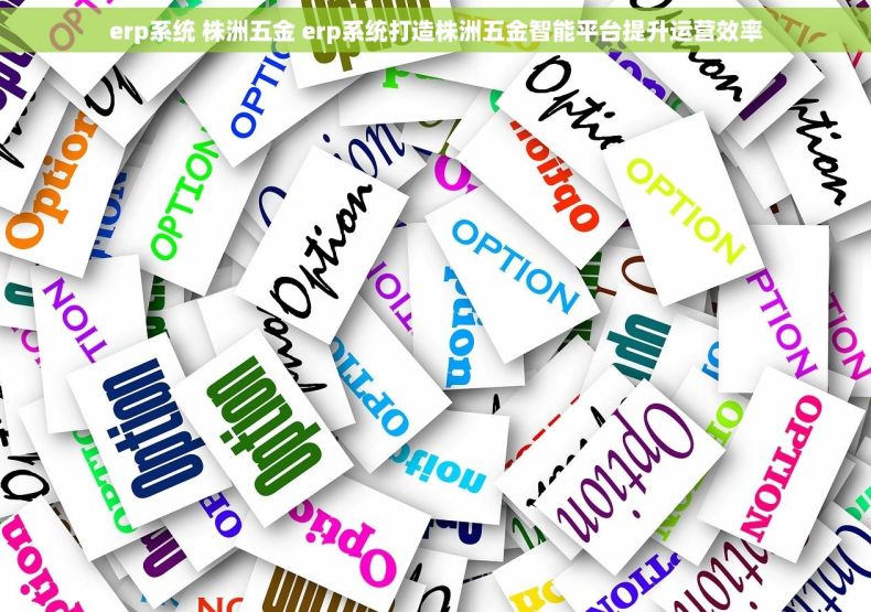 erp系统 株洲五金 erp系统打造株洲五金智能平台提升运营效率