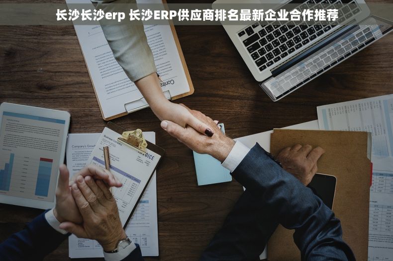 长沙长沙erp 长沙ERP供应商排名最新企业合作推荐
