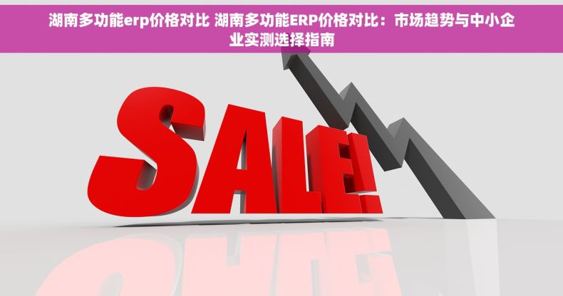 湖南多功能erp价格对比 湖南多功能ERP价格对比：市场趋势与中小企业实测选择指南
