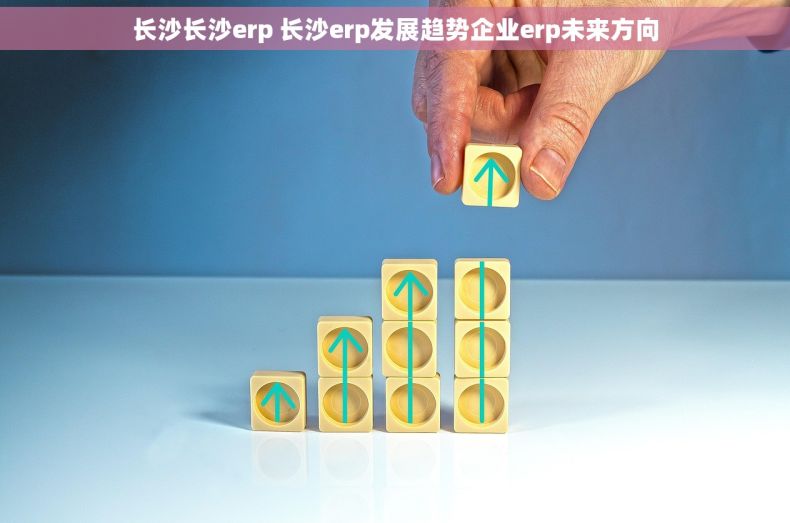 长沙长沙erp 长沙erp发展趋势企业erp未来方向