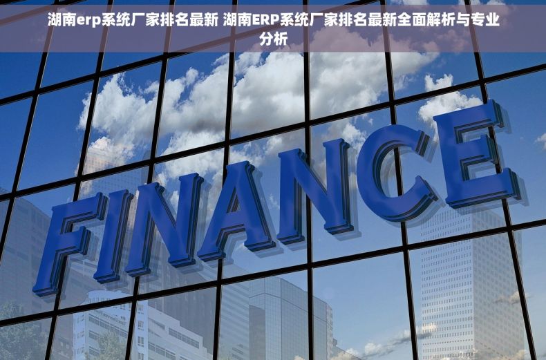 湖南erp系统厂家排名最新 湖南ERP系统厂家排名最新全面解析与专业分析