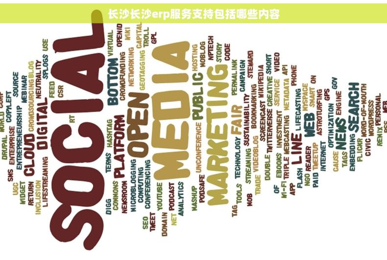 长沙长沙erp服务支持包括哪些内容