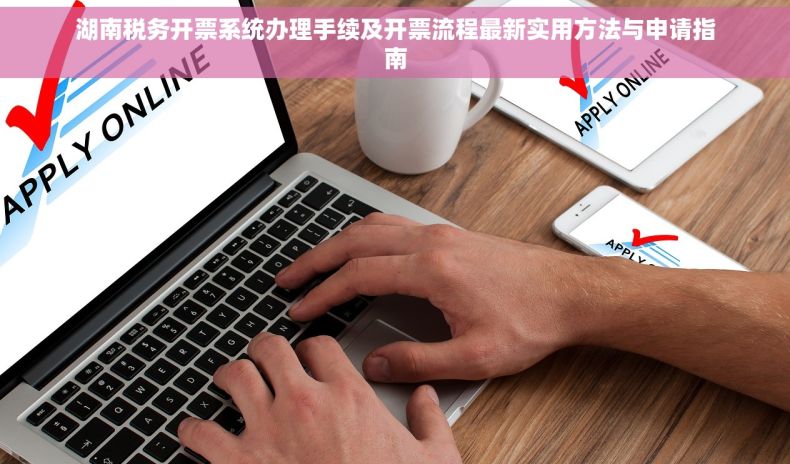 湖南税务开票系统办理手续及开票流程最新实用方法与申请指南