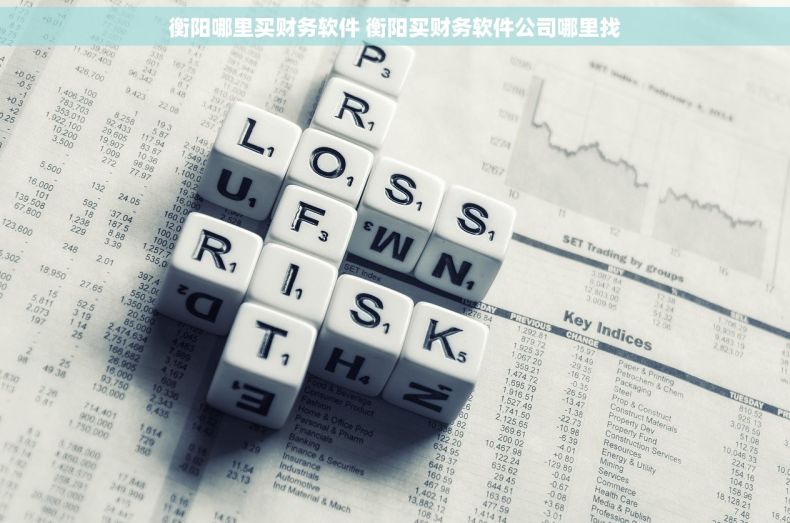 衡阳哪里买财务软件 衡阳买财务软件公司哪里找