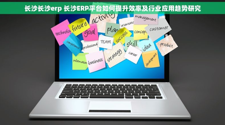 长沙长沙erp 长沙ERP平台如何提升效率及行业应用趋势研究