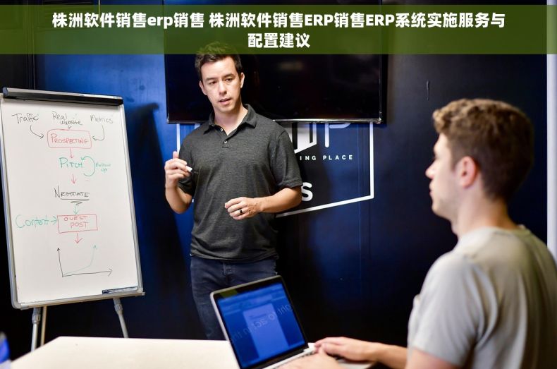 株洲软件销售erp销售 株洲软件销售ERP销售ERP系统实施服务与配置建议