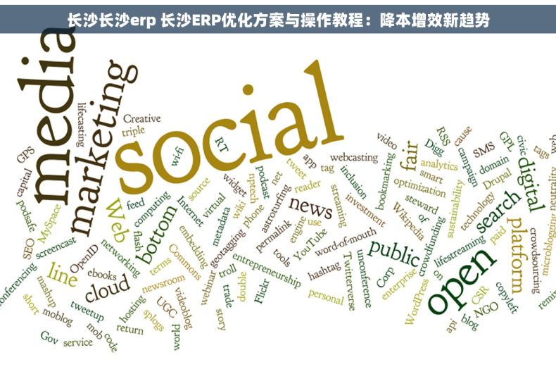 长沙长沙erp 长沙ERP优化方案与操作教程：降本增效新趋势