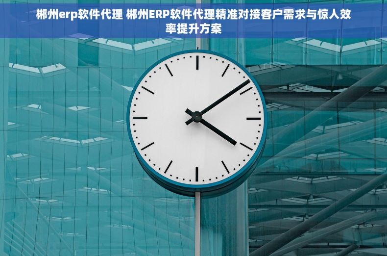 郴州erp软件代理 郴州ERP软件代理精准对接客户需求与惊人效率提升方案