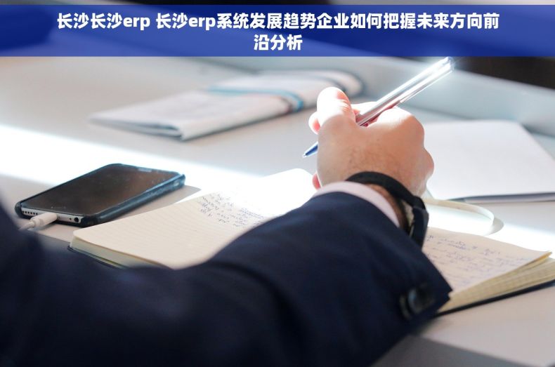 长沙长沙erp 长沙erp系统发展趋势企业如何把握未来方向前沿分析