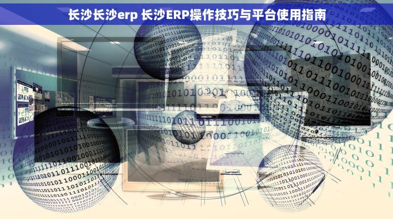 长沙长沙erp 长沙ERP操作技巧与平台使用指南