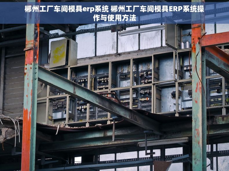 郴州工厂车间模具erp系统 郴州工厂车间模具ERP系统操作与使用方法