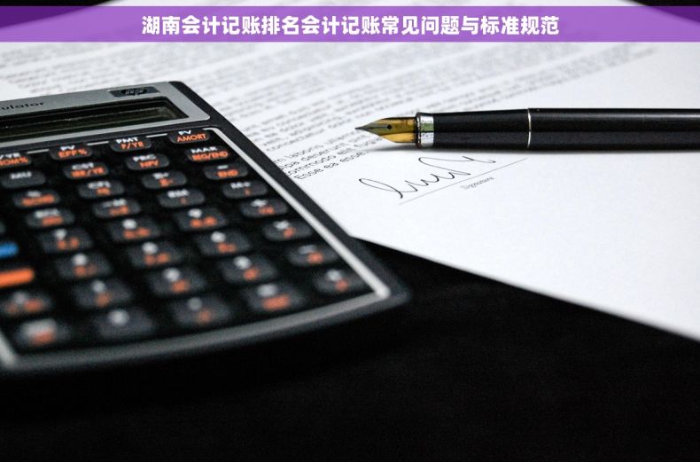 湖南会计记账排名会计记账常见问题与标准规范