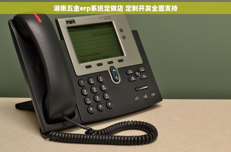 湖南五金erp系统定做店 定制开发全面支持