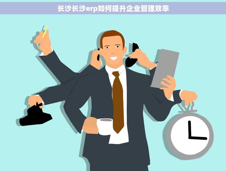 长沙长沙erp如何提升企业管理效率