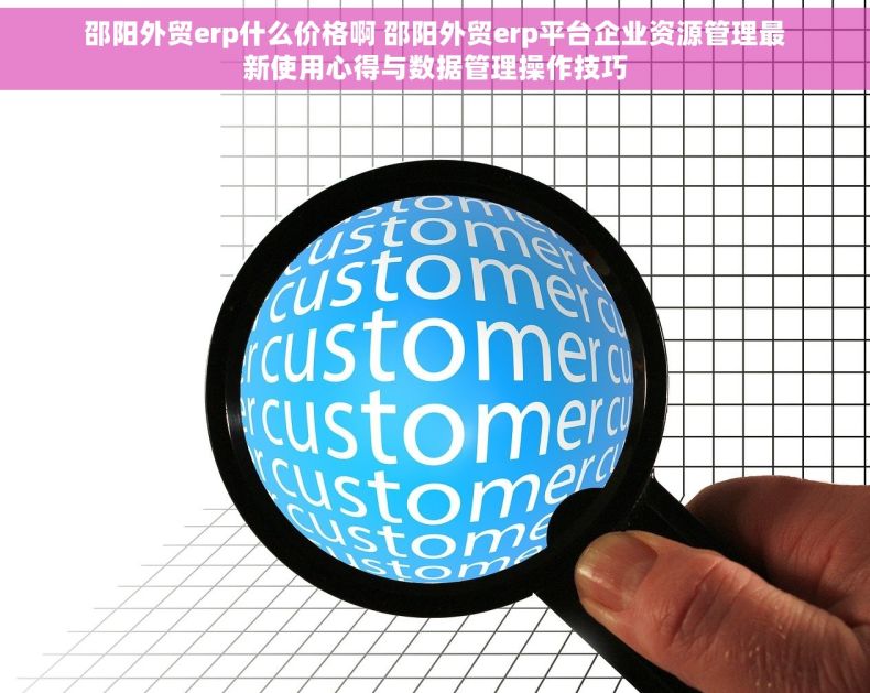 邵阳外贸erp什么价格啊 邵阳外贸erp平台企业资源管理最新使用心得与数据管理操作技巧
