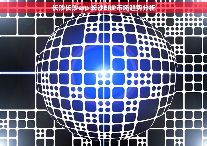 长沙长沙erp 长沙ERP市场趋势分析