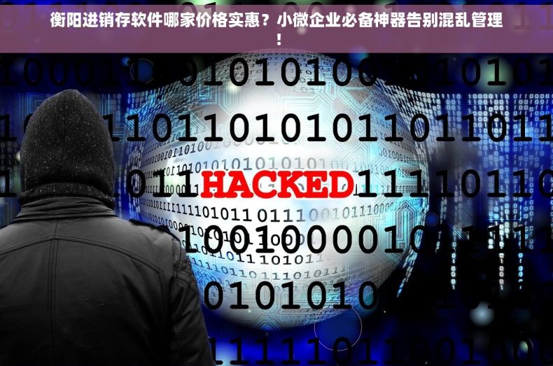 衡阳进销存软件哪家价格实惠？小微企业必备神器告别混乱管理！