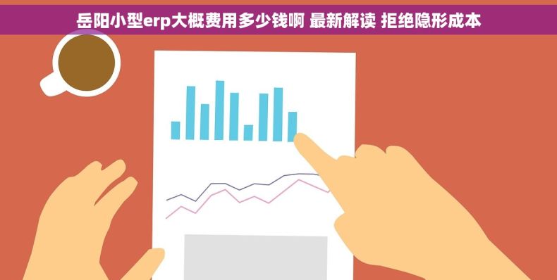 岳阳小型erp大概费用多少钱啊 最新解读 拒绝隐形成本