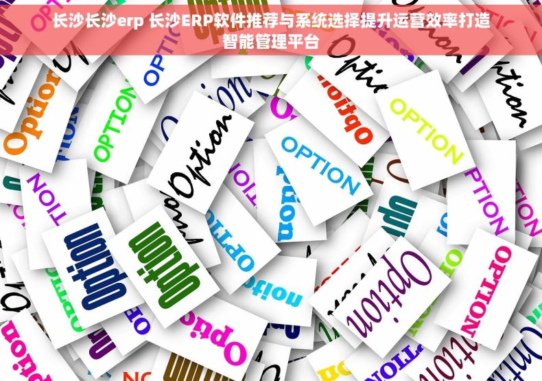 长沙长沙erp 长沙ERP软件推荐与系统选择提升运营效率打造智能管理平台