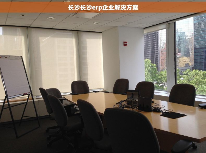 长沙长沙erp企业解决方案